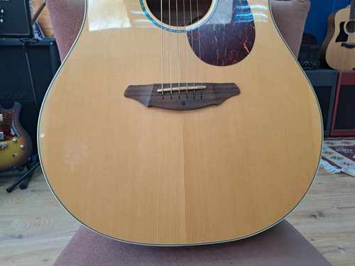 Breedlove Atlas D250