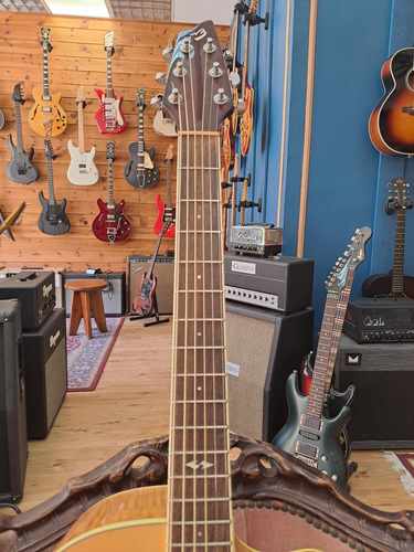 Breedlove Atlas D250