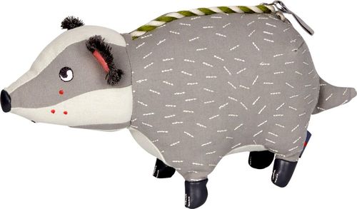 תיק צד גירית