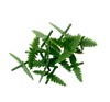 עלי גזר לקישוט מרציפן Plastic decorative carrot greens