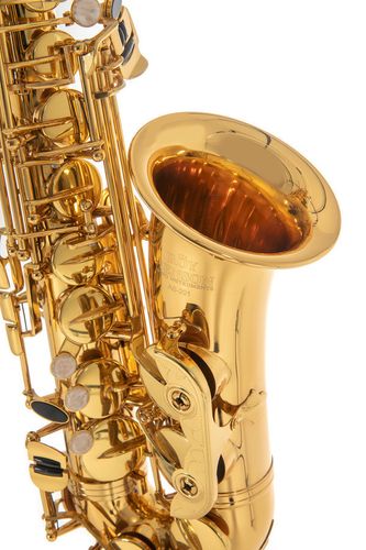 סקסופון אלט מצופה לכה לילדים ROY BENSON AS-201 כולל תיק RB700590 מבית GEWA (Germany)