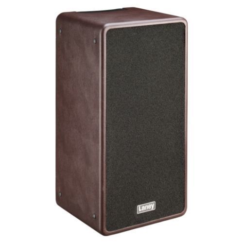 מגבר 2 ערוצים לגיטרה אקוסטית 120W