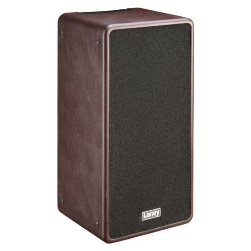 מגבר 2 ערוצים לגיטרה אקוסטית 120W