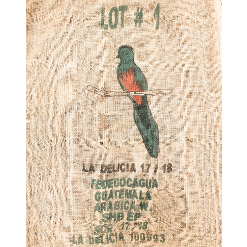 250 גרם פולי קפה בריוסו גואטמלה בהיר Caffe Brioso Guatemala Antigua Light Roast