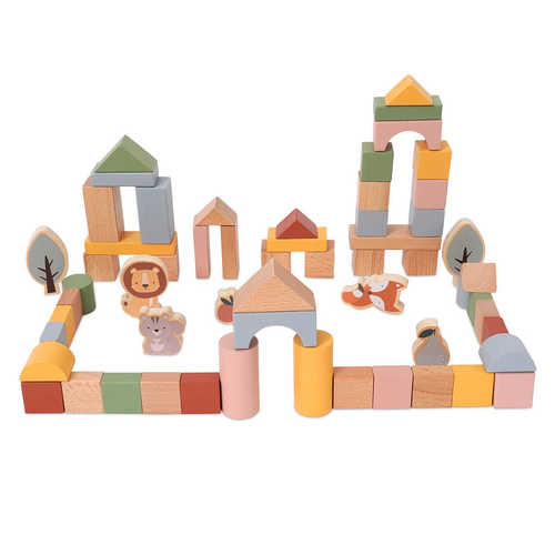 60 קוביות צבעוניות מעץ - דייניז
