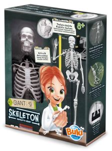 ערכה לבניית דמוי שלד אדם בגודל 45 ס"מ
