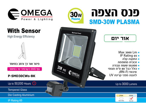 פרוז'קטור לד שחור, עם חיישן תנועה 30W אור יום