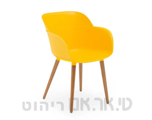 מישל צהוב