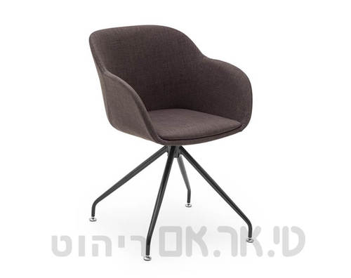 מישל חום