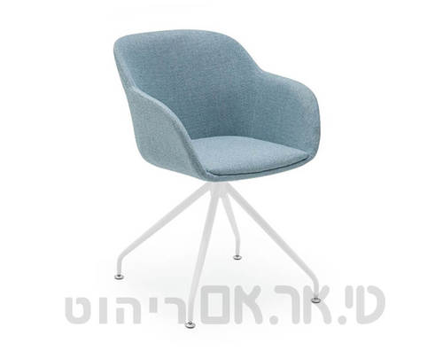 מישל תכלת