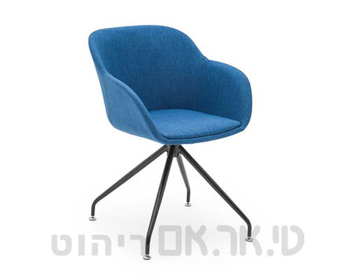 מישל כחול אחר