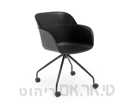 מישל שחור