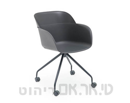 מישל אפור פחם