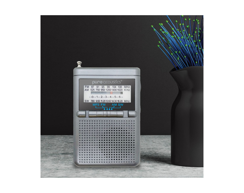 רדיו AM/FM נייד עם סוללה נטענת וכניסת USB דגם RD-25-GRAY מבית PURE ACOUSTICS - אזל במלאי
