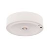 חד תכליתי צמוד גובה רב SPARK 3W אור ניטרלי