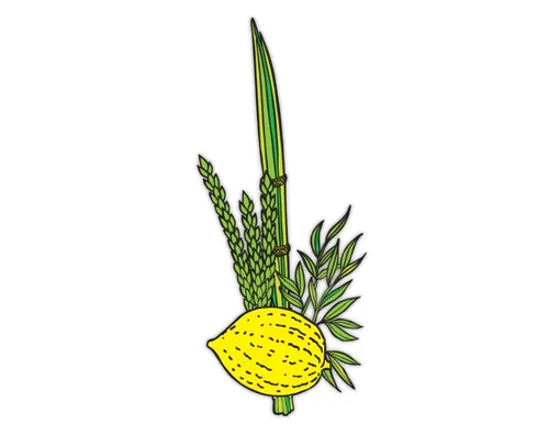 מניפת ארבעת המינים לצביעה - 36 יח'