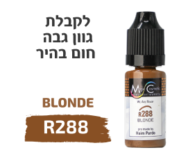 גוון גבה חום בהיר