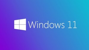 תוכנה Microsoft WINDOS 11 PRO HEB 64 Bit