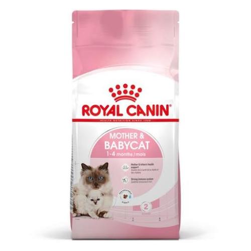 רויאל קנין מאדר אנד בייבי קט לגורי חתולים ולחתולות הרות ומניקות