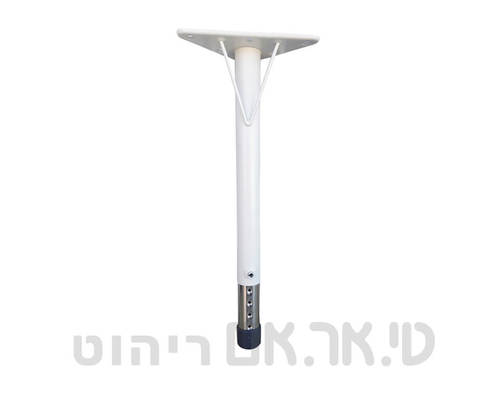 רגל יבוא