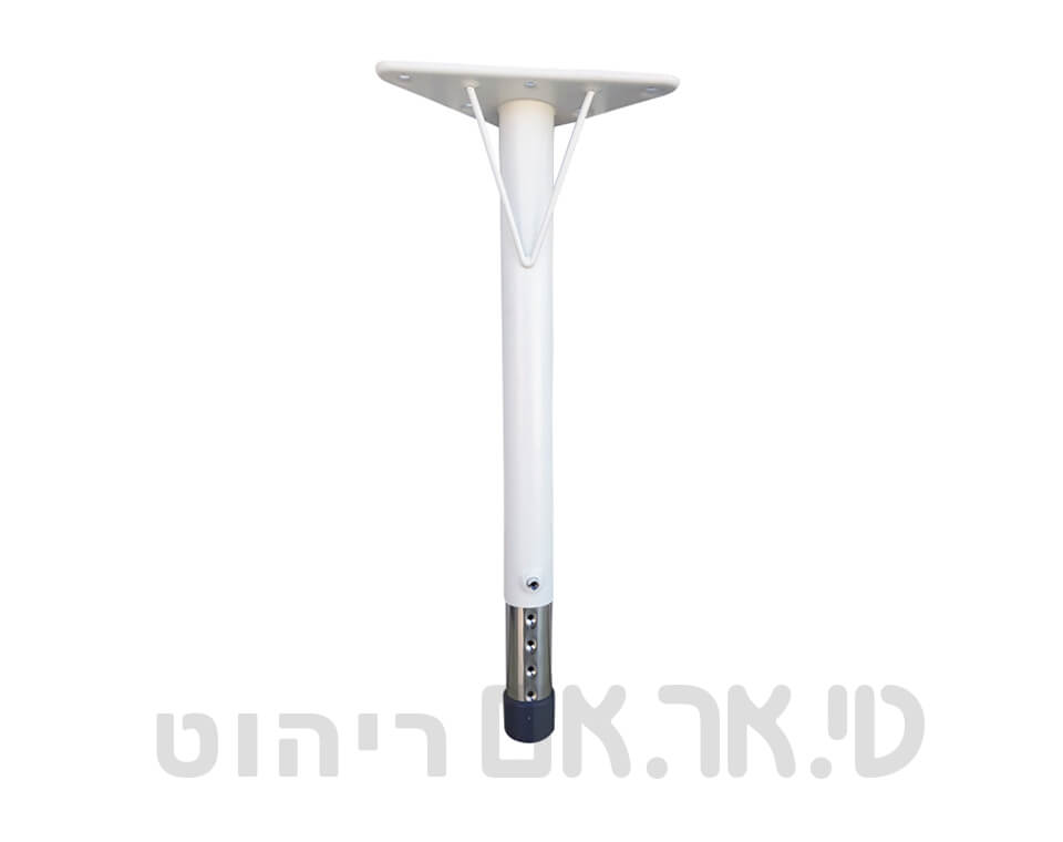 רגל יבוא
