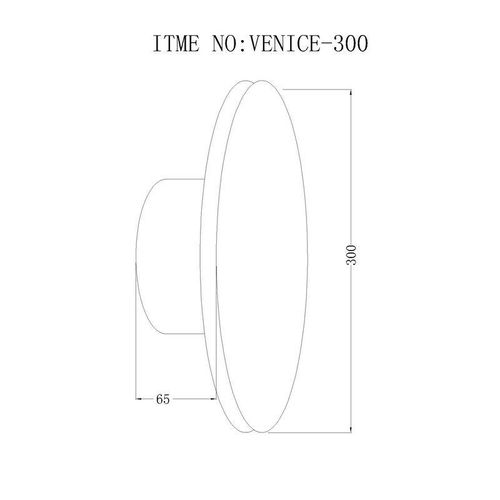 VENICE-300