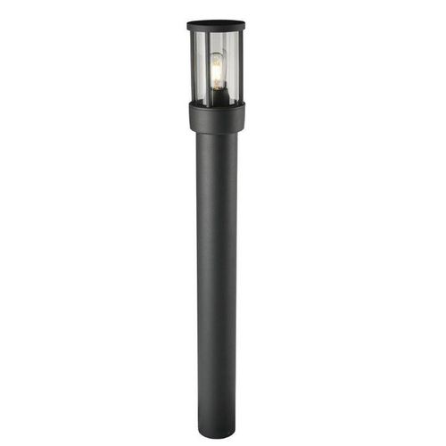 TORCH-80