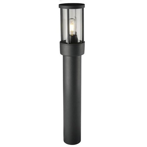 TORCH-50