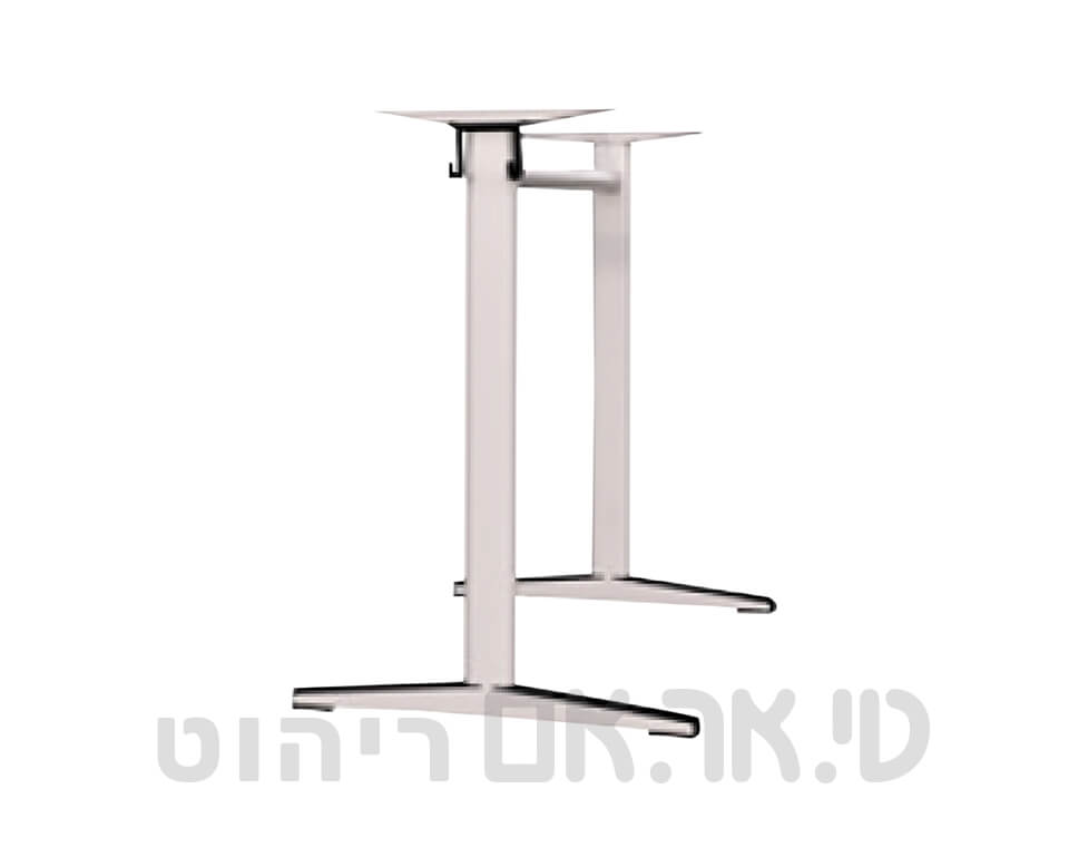 שלד דגם רביב