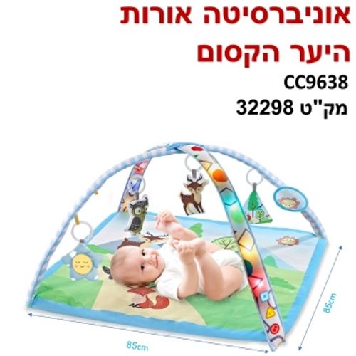 אוניברסיטה ומשטח פעילות אורות היער הקסום