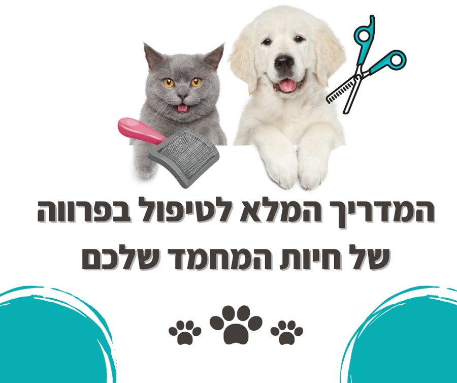 המדריך האולטימטיבי לטיפול בפרווה של חיות המחמד שלך