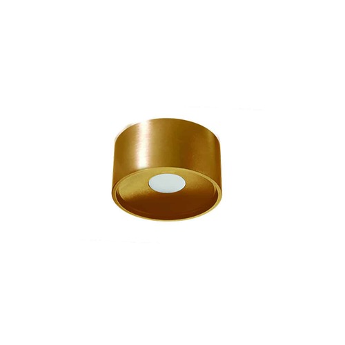 צילינדר צמוד תקרה 12W Elita 
