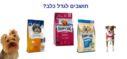  - מה המשמעות לגדל כלב? - 1