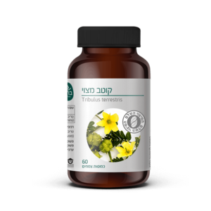 קוטב מצוי עלים ברא צמחים 60 כמוסות צמחיות - Bara Tribulus Terrestris Leaves 