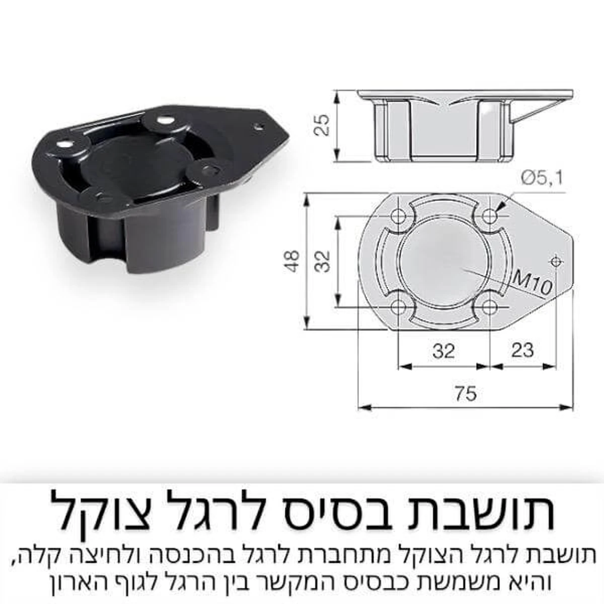 ססיס המקשר בין רגל הצוקל לחלק התחתון של הארון
