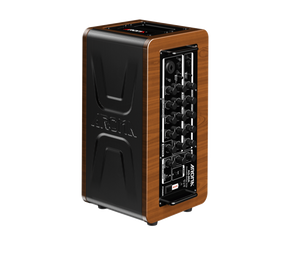 מגבר נטען לגיטרה אקוסטית AG-60A מבית Aroma