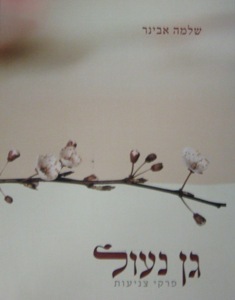 גן נעול