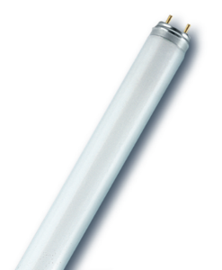נורת פלורסנט OSRAM T8 36W