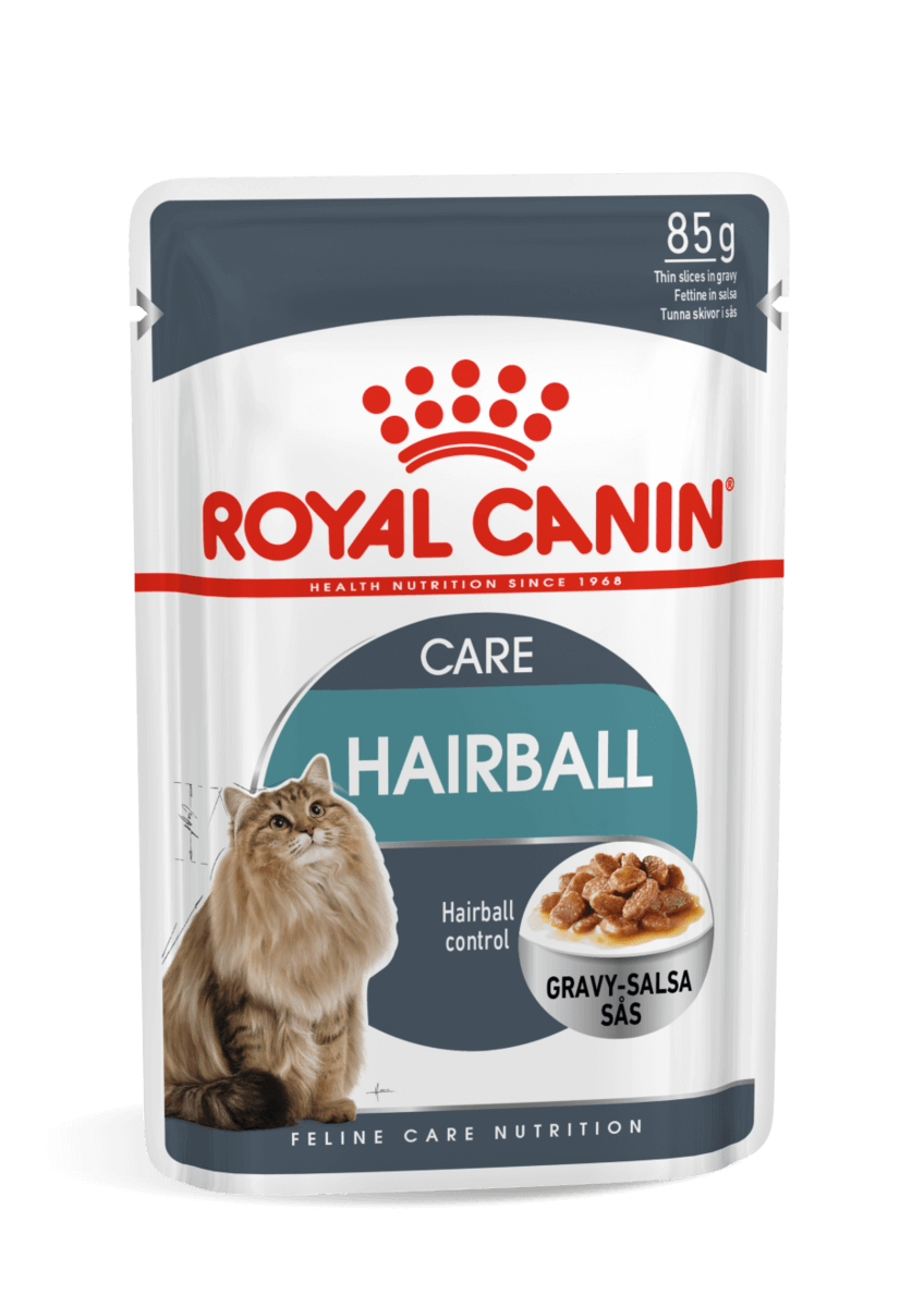 רויאל קנין חתול היירבול (12 פאוצ