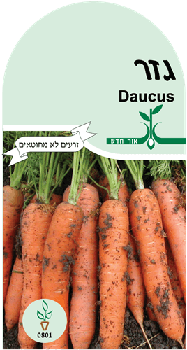 זרעי ירקות – גזר