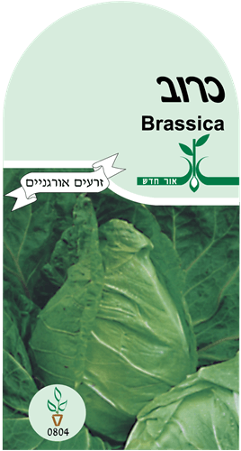 זרעי ירקות - כרוב