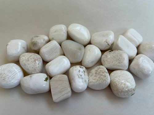 סקולסייט חלוק SCOLECITE