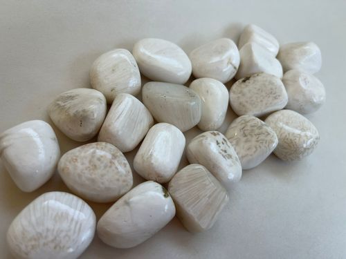 סקולסייט חלוק SCOLECITE