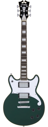גיטרה חשמלית + נרתיק D'Angelico PREMIER BRIGHTON SHERWOOD GREEN
