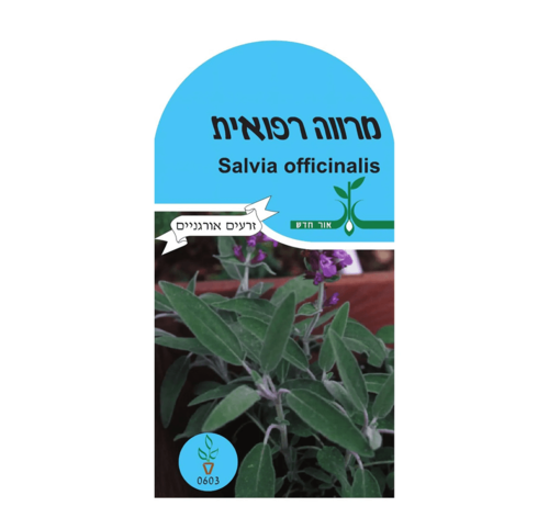 זרעי ירקות - מרווה רפואית