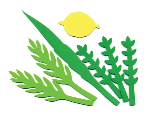 גזירות סול - ארבעת המינים