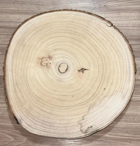 קרש עגול + קליפת עץ 45/4ס