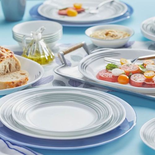 צלחת מנה עיקרית 26 ס