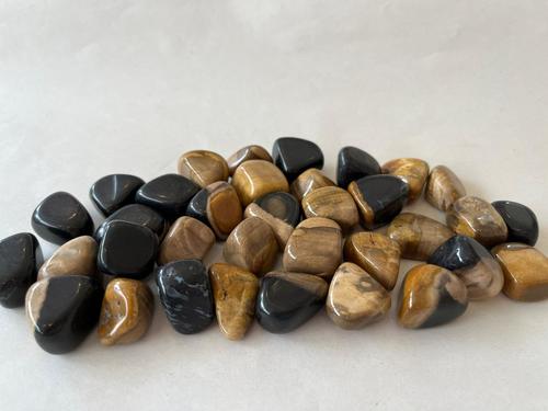 עץ מאובן חלוק PETRIFIED WOOD