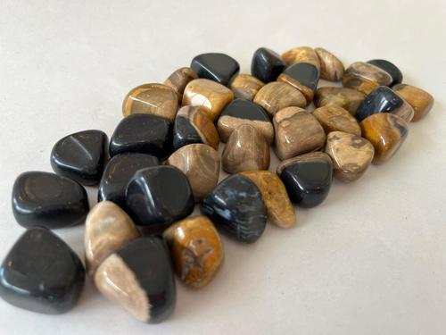 עץ מאובן חלוק PETRIFIED WOOD